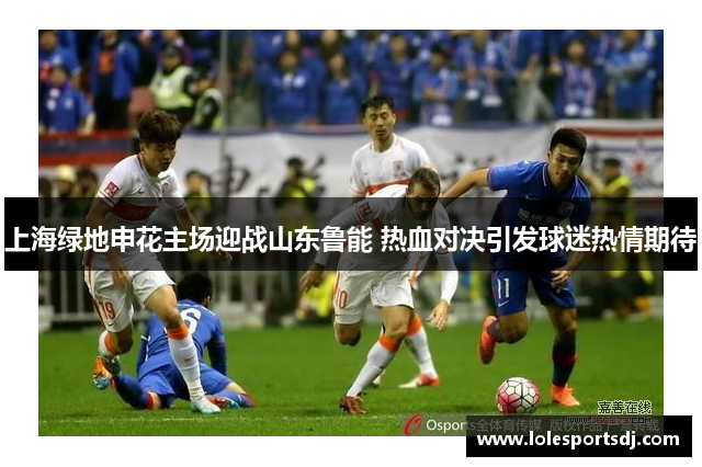 上海绿地申花主场迎战山东鲁能 热血对决引发球迷热情期待