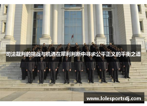司法裁判的挑战与机遇在犀利判断中寻求公平正义的平衡之道