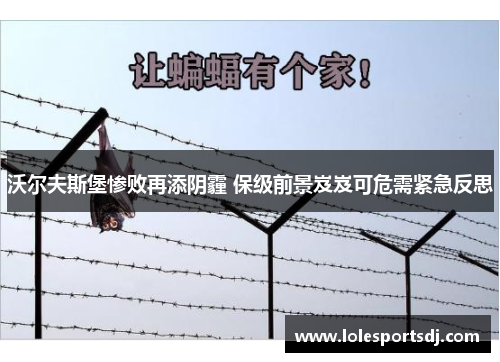 沃尔夫斯堡惨败再添阴霾 保级前景岌岌可危需紧急反思