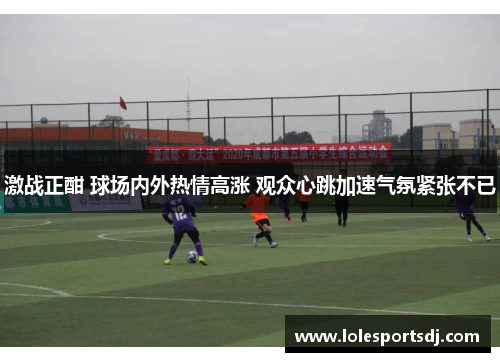 激战正酣 球场内外热情高涨 观众心跳加速气氛紧张不已