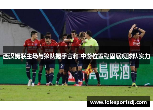 西汉姆联主场与狼队握手言和 中游位置稳固展现球队实力