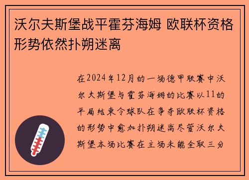 沃尔夫斯堡战平霍芬海姆 欧联杯资格形势依然扑朔迷离