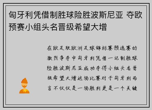 匈牙利凭借制胜球险胜波斯尼亚 夺欧预赛小组头名晋级希望大增