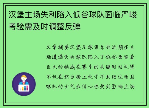 汉堡主场失利陷入低谷球队面临严峻考验需及时调整反弹