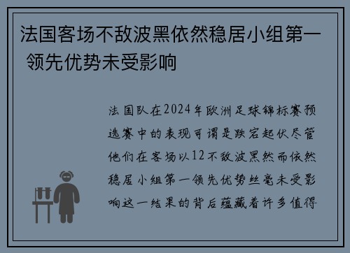 法国客场不敌波黑依然稳居小组第一 领先优势未受影响